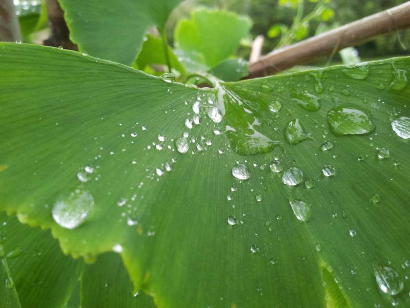 烟雨江南<br>qyf5seag.cn 水乡梦境漫游
